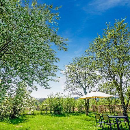 Amazing Holiday Home In Porcheresse Daverdisse With Terrace Kültér fotó